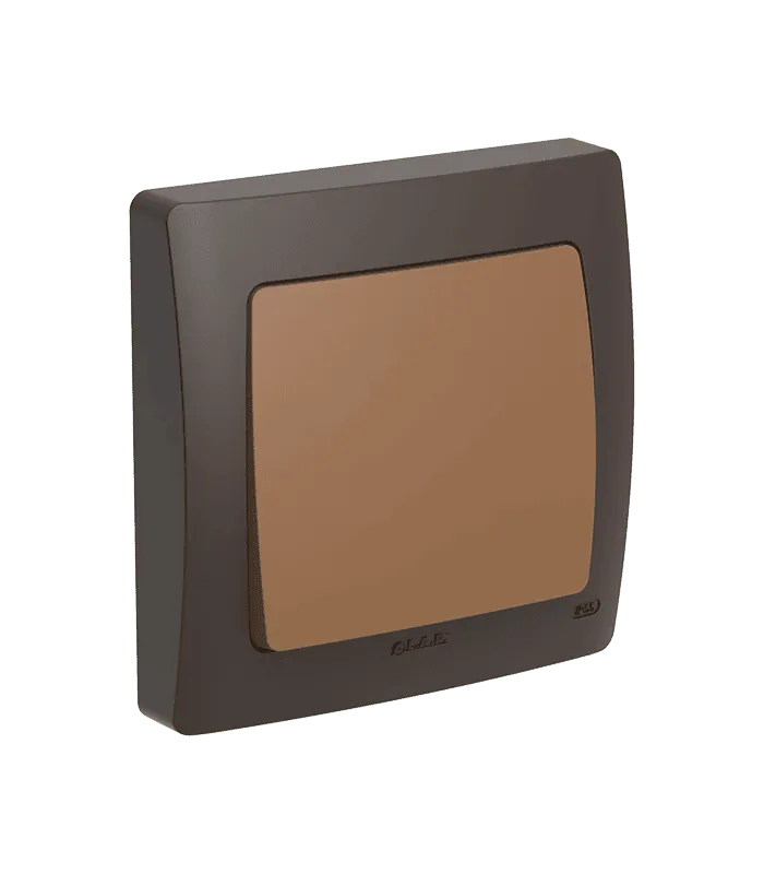 Couleur marron
