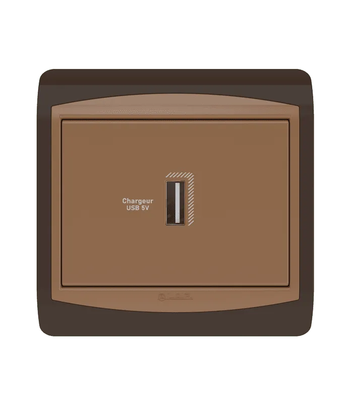 Chargeur USB simple