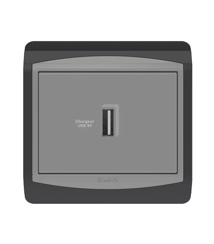 Chargeur USB simple
