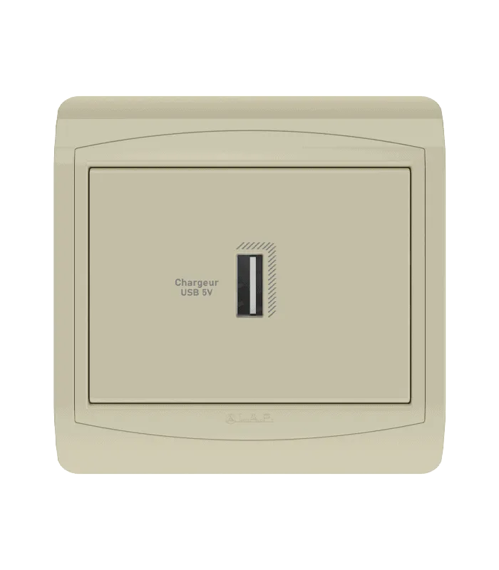 Chargeur USB simple