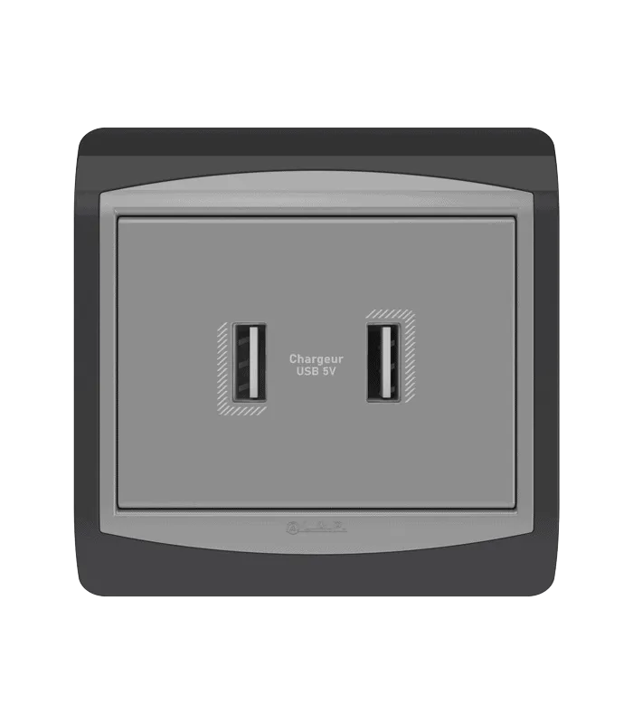 Double chargeur USB