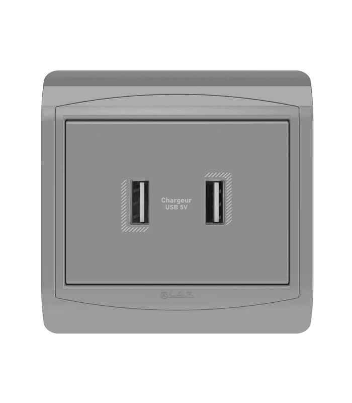 Double chargeur USB