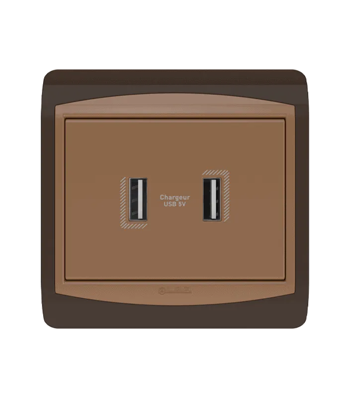 Double chargeur USB